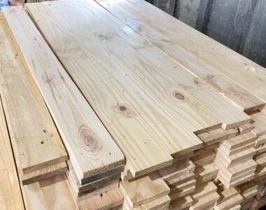 Kayu Jati Belanda