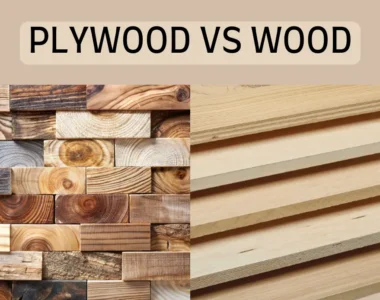 Kayu Solid vs Kayu Lapis